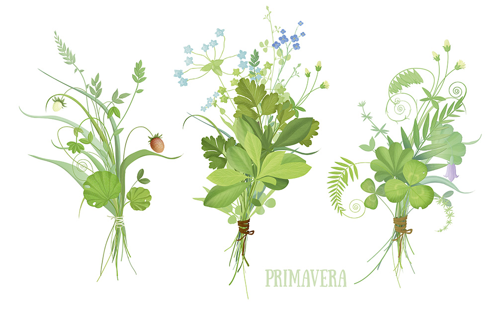 three small bouquet of wild herbs