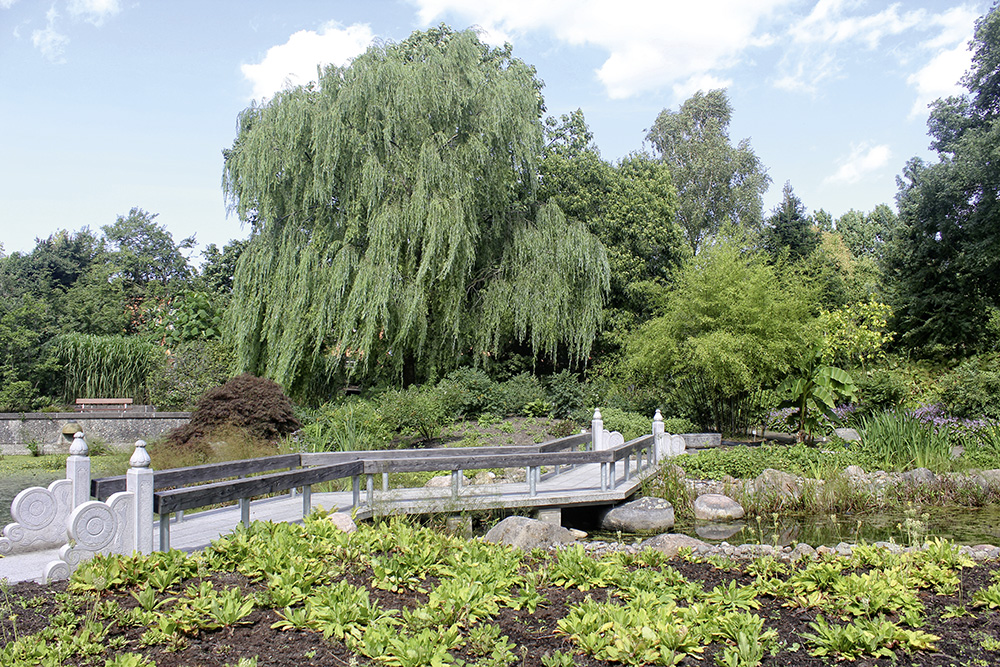 Brücke im Botanischen Garten